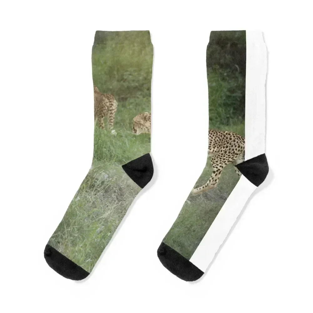 2 Cheetahs Socks heated retro sport Women's Socks Men's