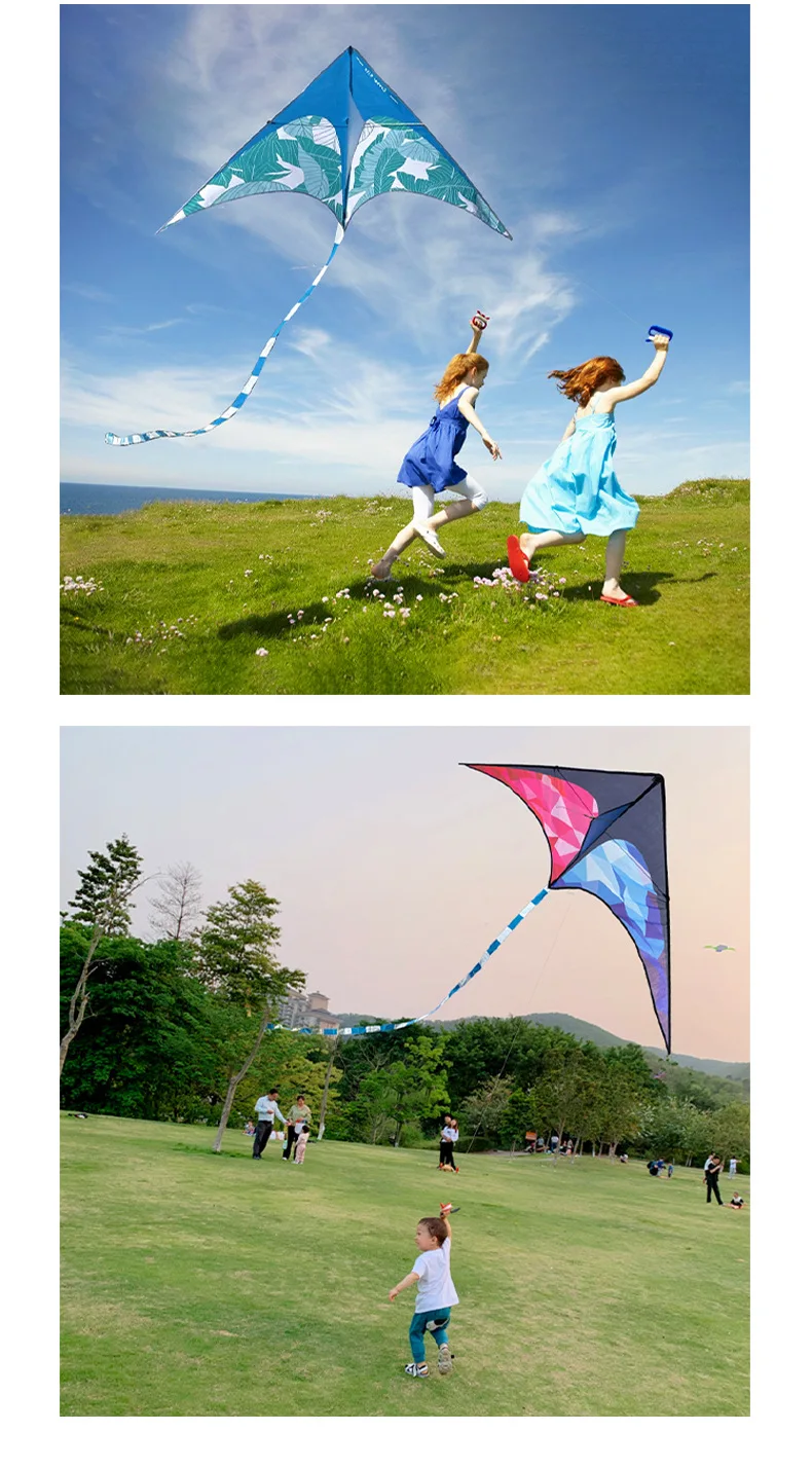 Vlieger Grasland Vlieger Breeze om te Vliegen Kinderen Volwassen Grote Vlinder Staart Vliegers String Gingang Outdoor Fun Sport Speelgoed Set 1.6m