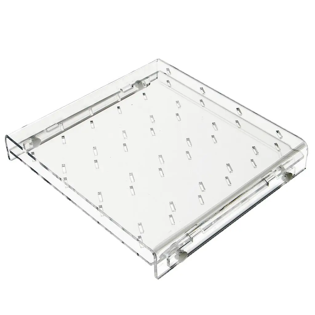 Acrylic Ice Sucker Stand Base Shelf 24 Holes Easy Clean Display Rack DIY Setup for Party Restaurant Events