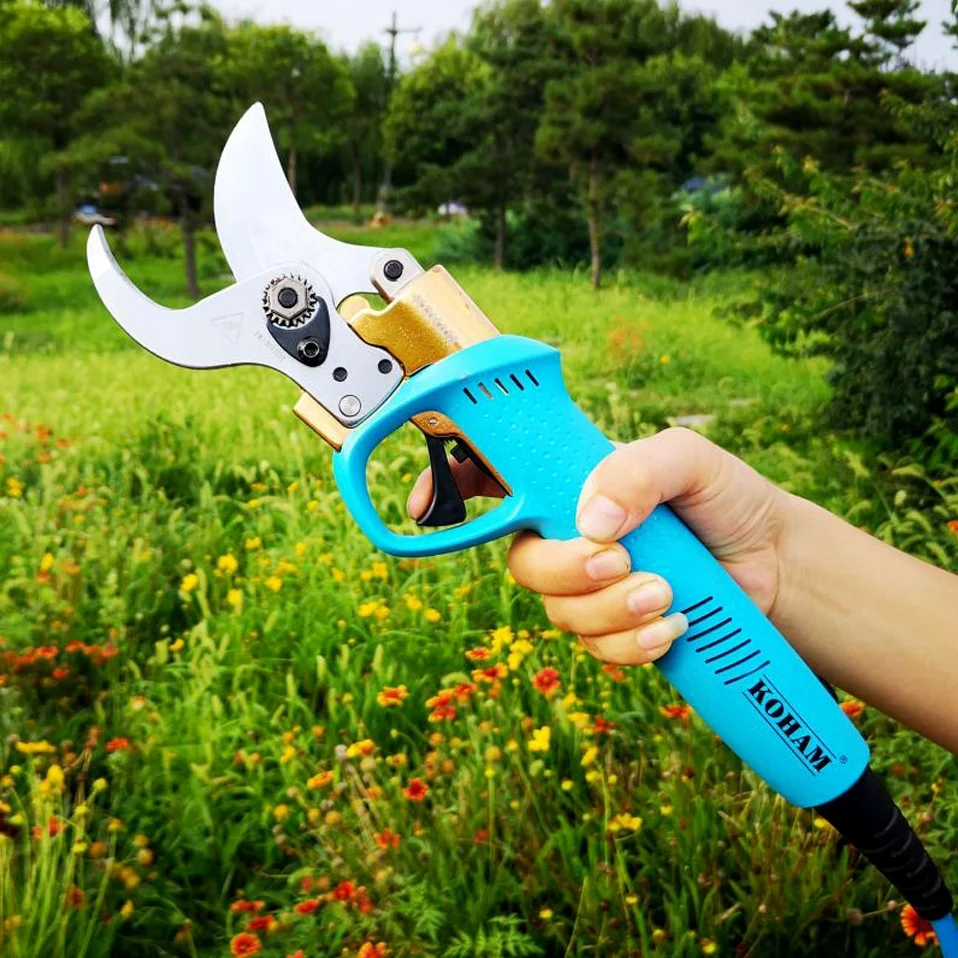 Portable electric shear for vineyard and orchard, powerful secateurs for gardener with CE certification