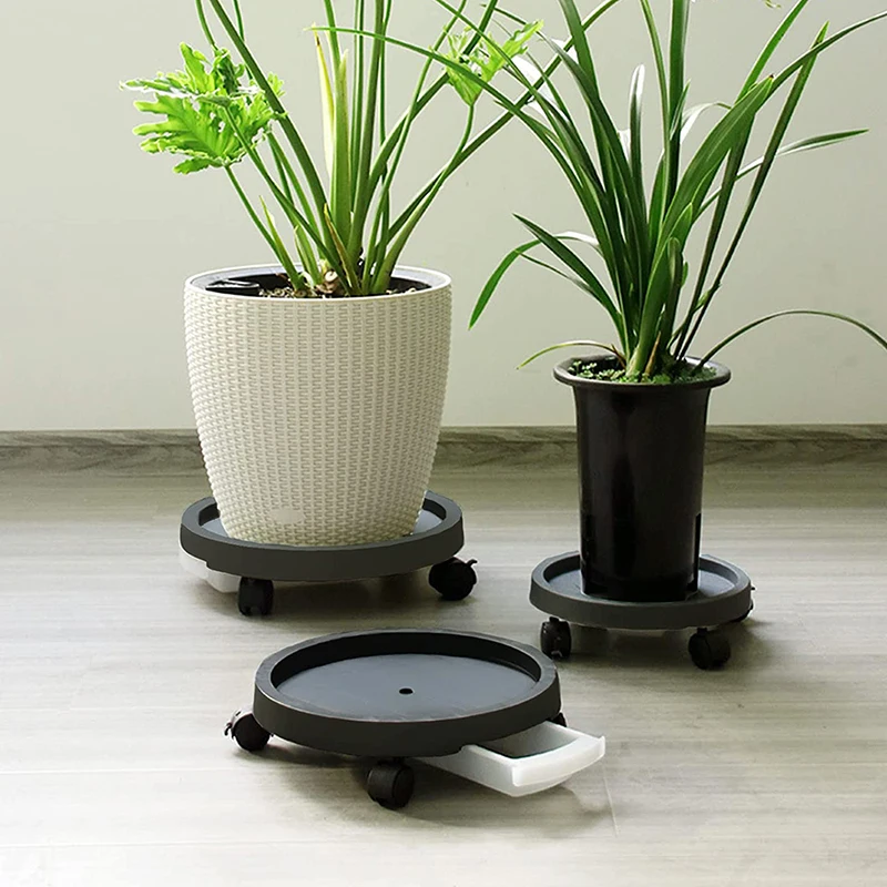 

Basin Chassis Base Universal Wheels Removable Planter Tray