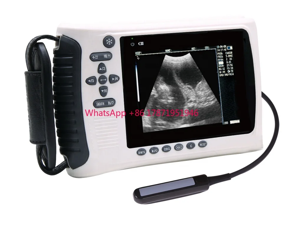 

Cheapest portable animal ultrasound Veterinary Ultrasound machine ultrasonic scanner for