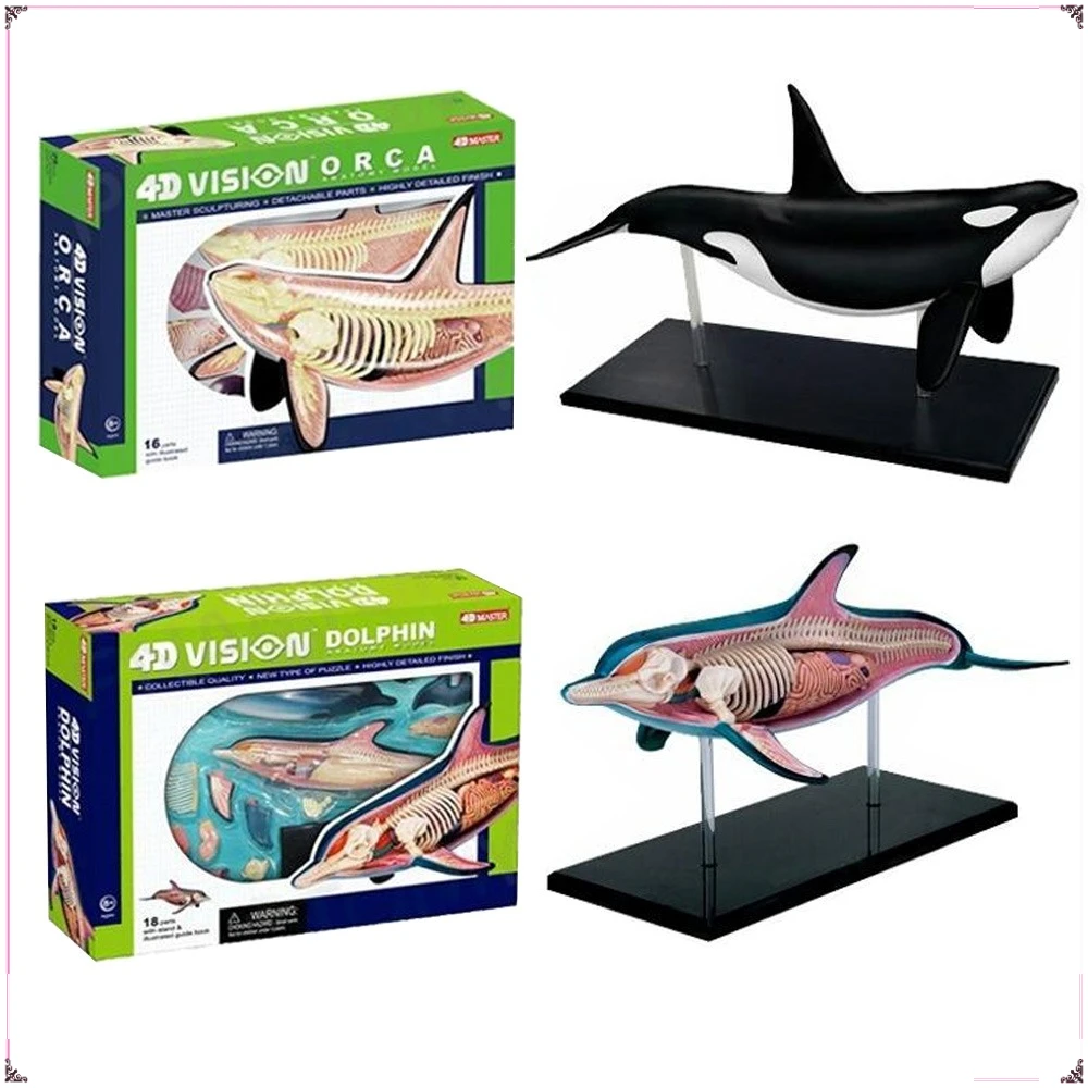 

4D MASTER Animal Assembly Model DIY Children's Science Popularization Toy Desktop Decorative Ornaments Boys Girls Gifts in Stock