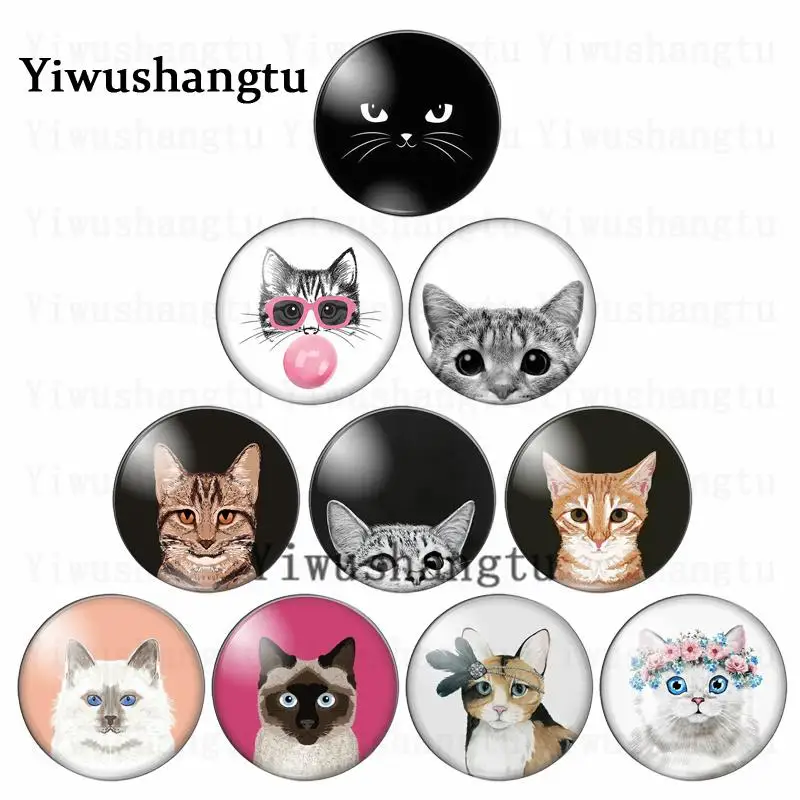 

Pet cat cute and Naughty cat's head balloon wreath 12mm/20mm/25mm/30mm photo glass cabochon demo flat back Making findings