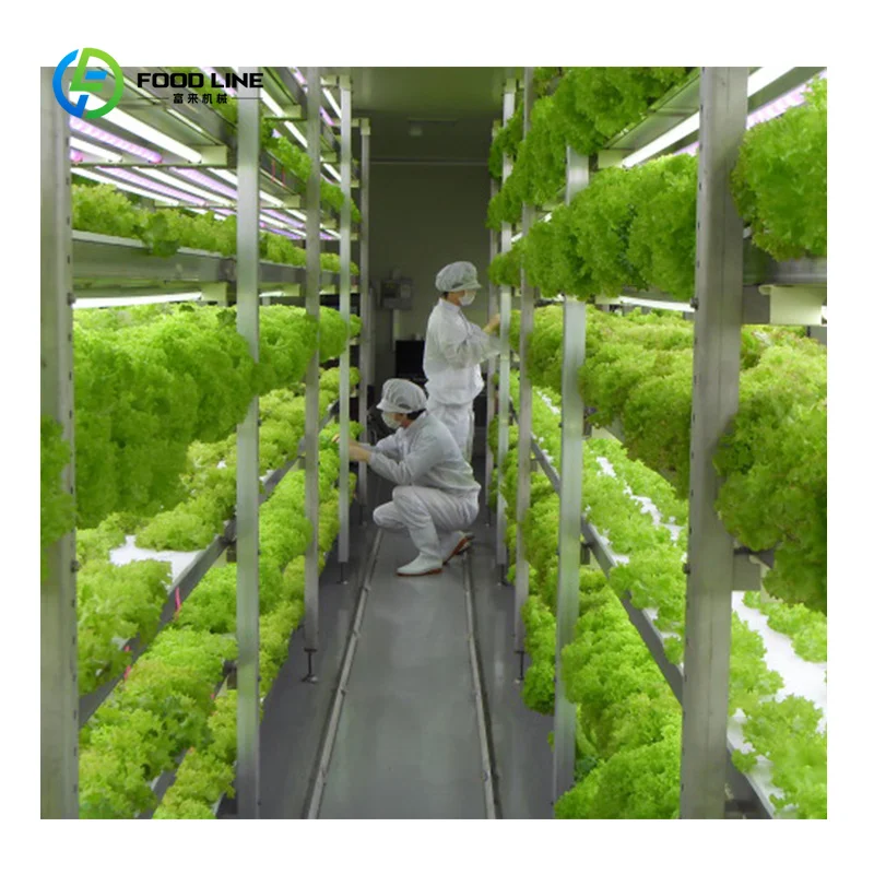 Customized Greenhouse Container Hydroponic System Vertical Farming for Lettuce and Leafy Green NFT Hydroponic Container Farms