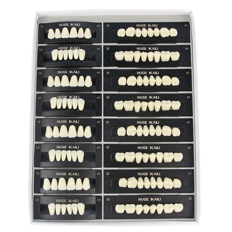 4/12/18 Satz/Box Dental Zähne Modell Prothese DIY Material Vordere Hintere Zähne Bildung Modell A2/A3 T2-T10