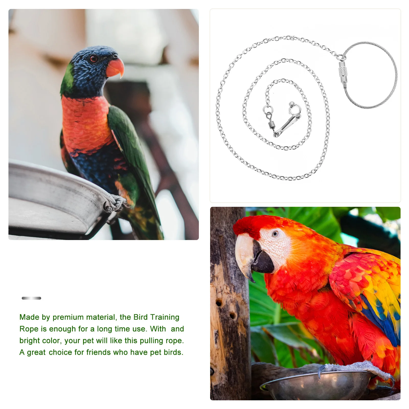 

Stainless Steel Bird Rust Resistant Lightweight Portable Bird Rope Chain Leash Parakeet Cockatiel Accessories Reinforced