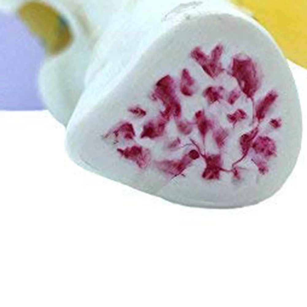 Modello di simulazione dell'articolazione del ginocchio anatomia umana 1:1 a grandezza naturale