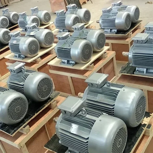 Generatore a magneti permanenti da 5 kW 10 kW 50 kW 100 kW 250 300 500 600 giri/min alternatore a magneti permanenti