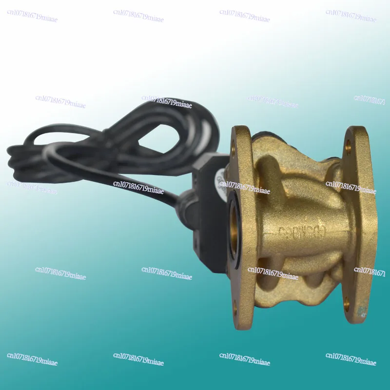 صمام لولبي LPG Encapsulated Double-Flow Solenoid Valve for Fuel Dispenser, 6/8 Inch Flanged Explosion-Proof Electromagnetic Valve الغاز والوقود — تفصيل 4
