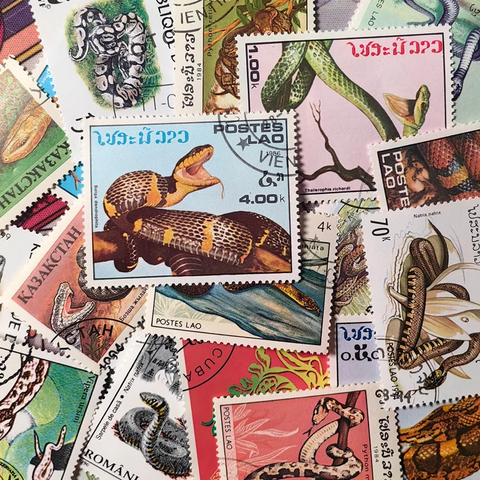 50 Different Snakes Post Stamps Collection Special Topic Stamps Postage Collectible Postage Stamps Material For Scrapbooking