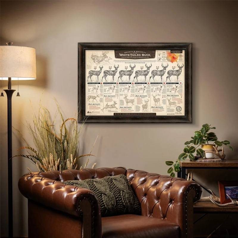 مطبوعات ورقية للنمو والتعليم ، باك أبيض الذيل ،"