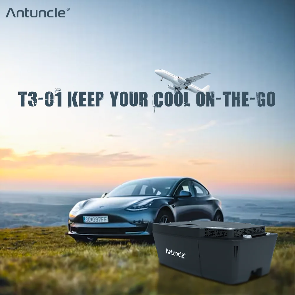 Portable 12v Car Fridge Tesla Refrigerator 20L Outdoor Camping Compressor Freezer Fridges for Model 3 X Y