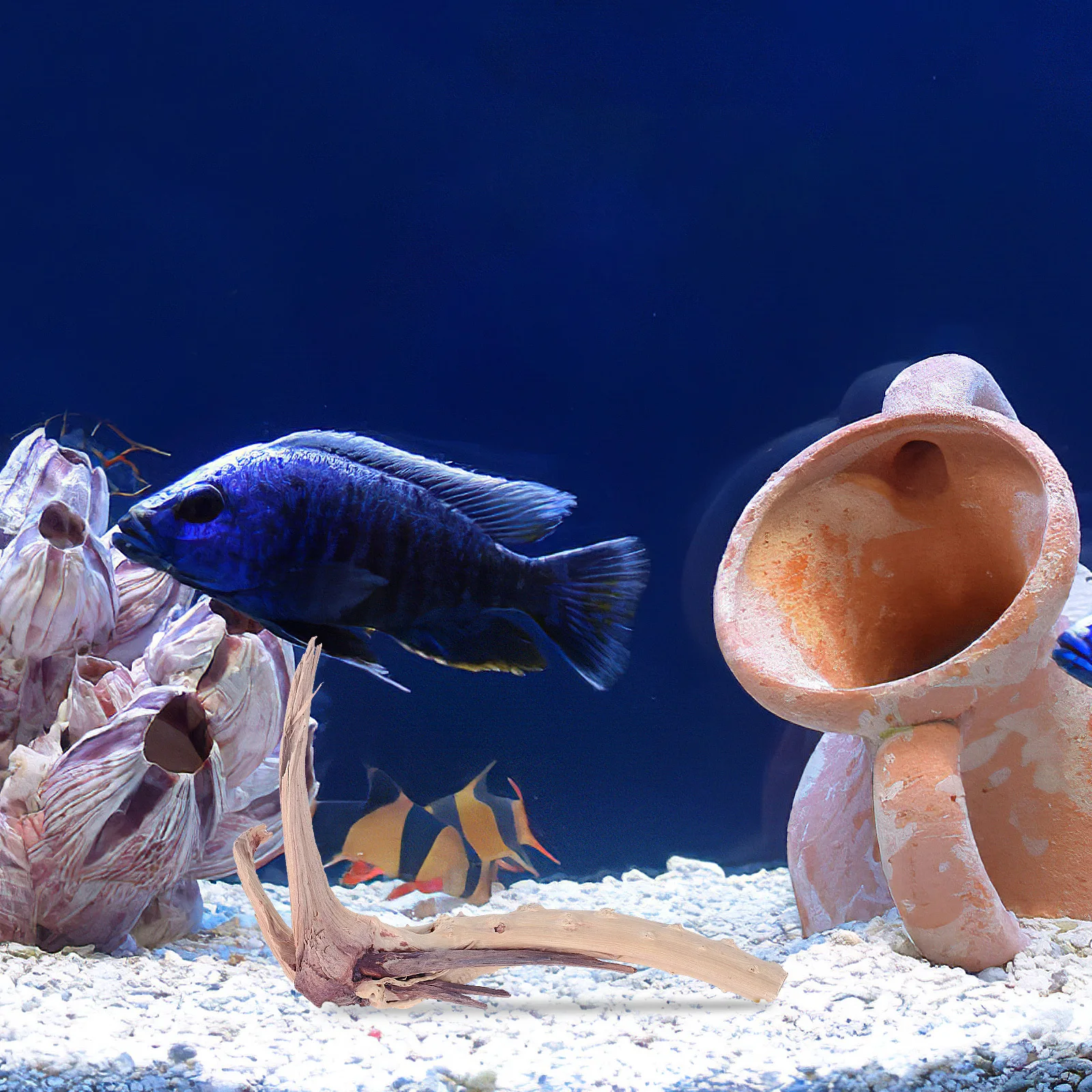 

10pcs Set of 10 Aquarium Driftwood Small Decor Freshwater Decoration Large Décor Decorations