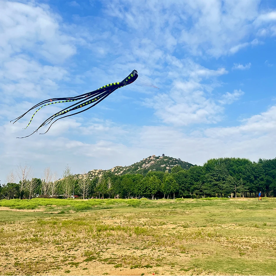 3D grande polvo Kite Software, inflável, fácil de voar, resistente a rasgos, interação pai e filho, Weifang Kite