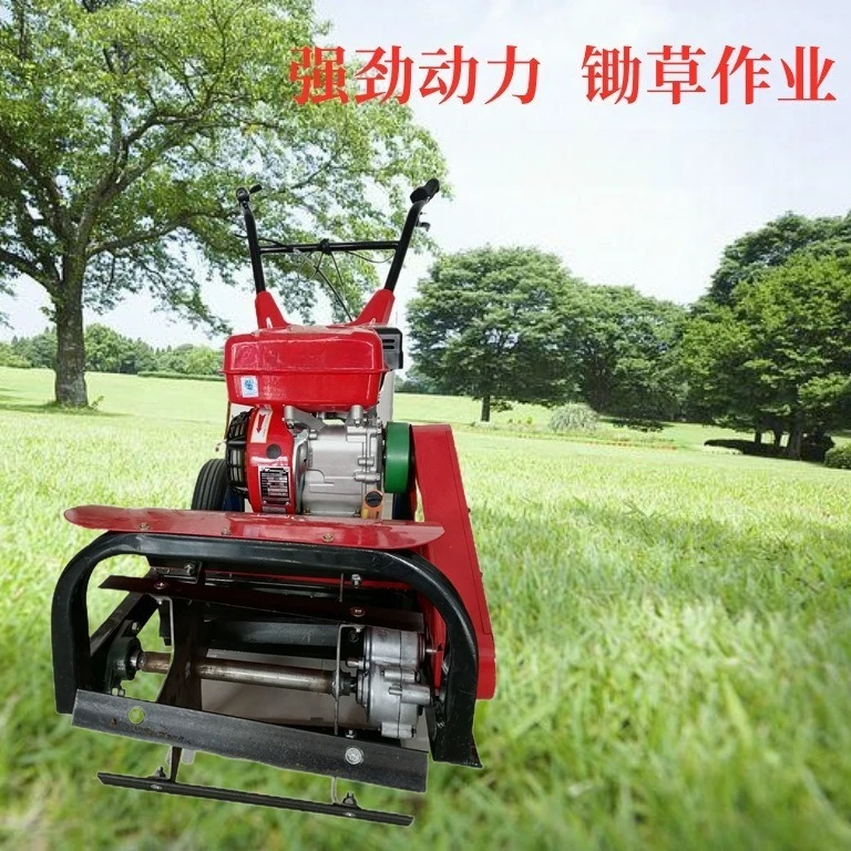 جزازة العشب، آكل الأعشاب المشي الخلفي، البستان، الجبل، التل، الاستصلاح، الخندق، مجرفة، جزازة