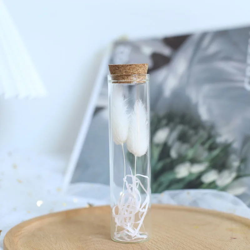 Mini bouteille de Press avec tube à essai en verre, fleur séchée, rose, gypsophile importale, compagnon créatif, cadeau de la journée de Léon, fleur Sechee