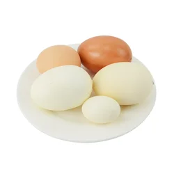 Fake Eggs Toys for Children Kitchen Simulation Egg Model Painting Fun Doodle DIY Plastic Easter Eggs Decoration Educational Toys