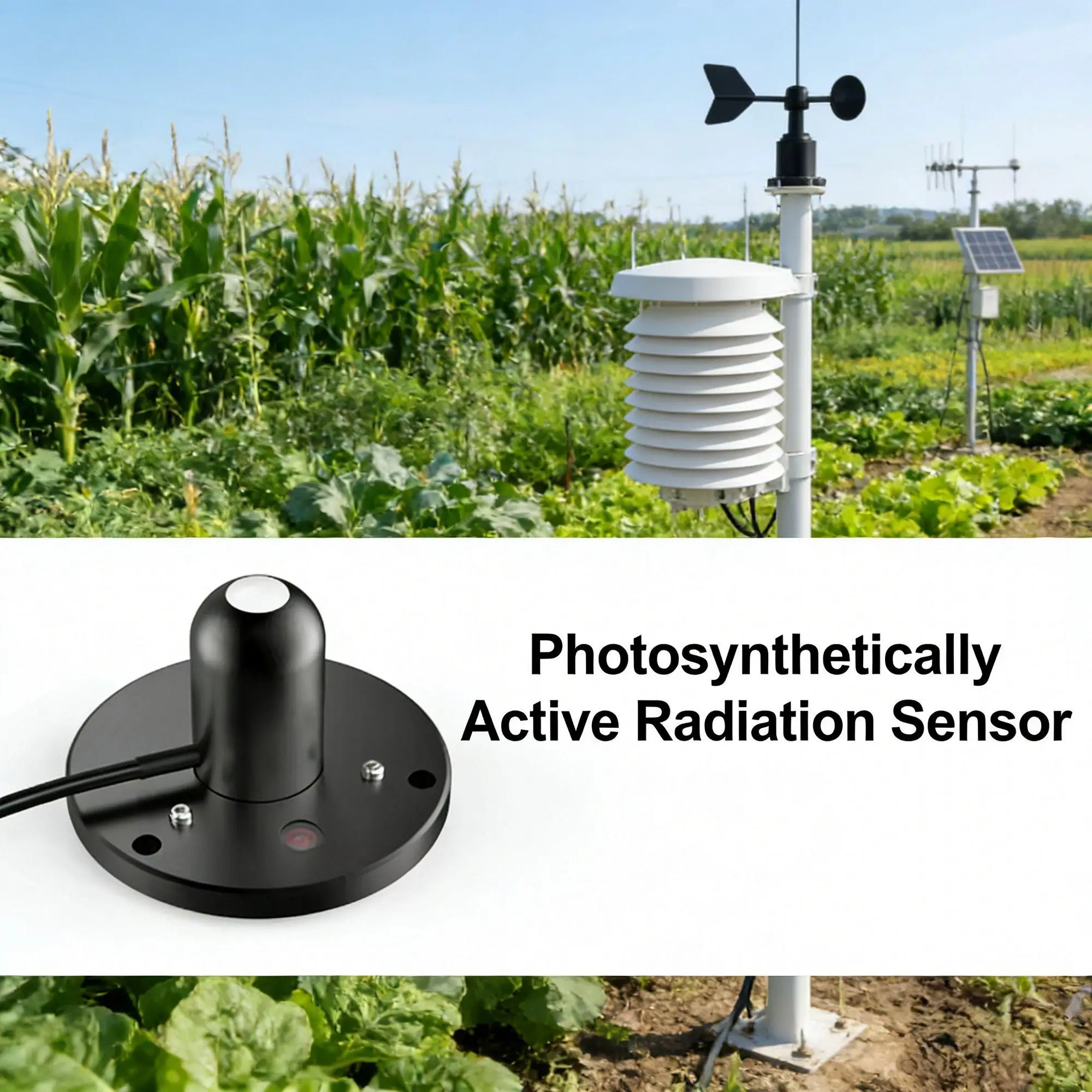 Low Consumption BGT RS485 Modbus PAR Sensor Photosynthetically Active Radiation Meter for Solar Farm
