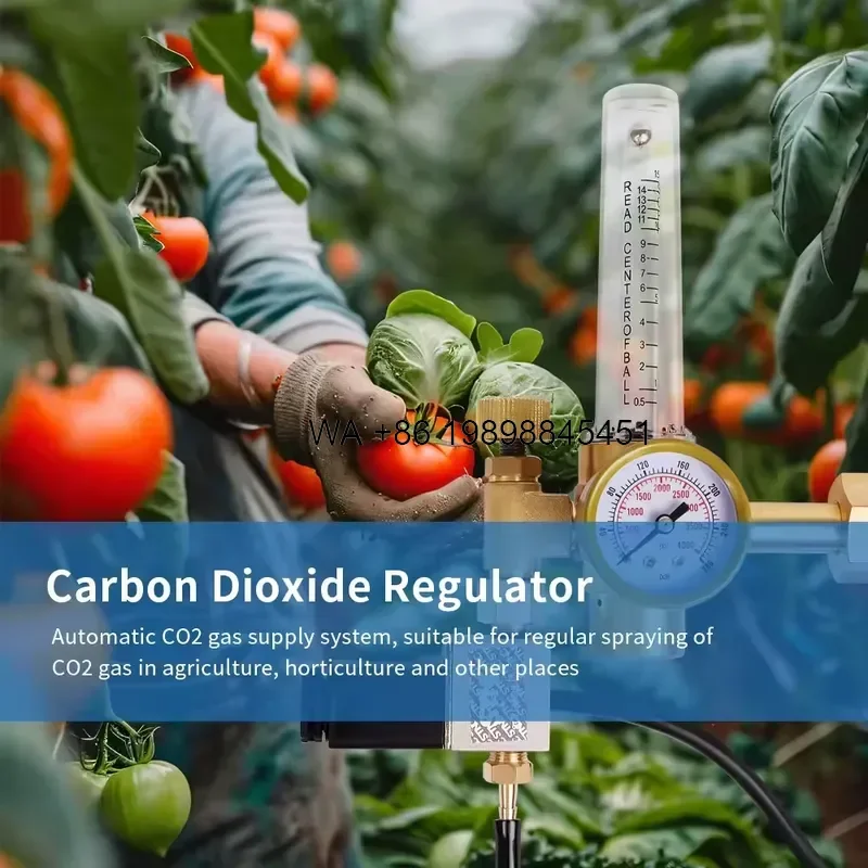 Wmwmnu Wholesale Brass 191 CGA320 Carbon Dioxide Regulator CO2 Control for Greenhouse Plants