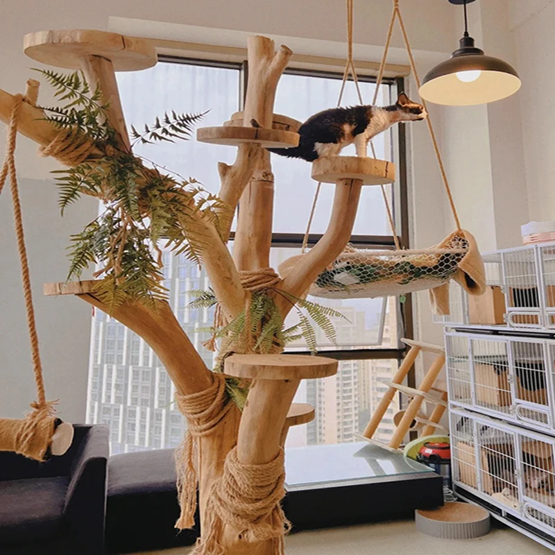 

Large trunk solid wood cat climbing frame natural log cat climbing tree nest integrated four-season universalclaw tree