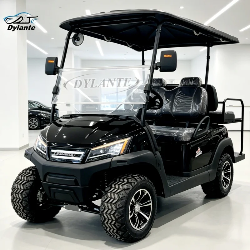 Dylante Hot-Selling New Gas 2-Seater 4-Wheel Disc Brake Golf Cart Electric Sightseeing Car With Cup Holder Storage Basket