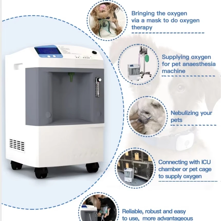 10L Animal  Concentrator Veterinary Use Equipment for Pet Clinic Veterinary  Concentrator Pet  Chamber Animal