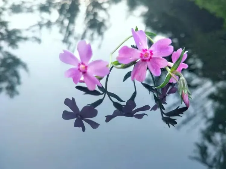 

Двигатель с высоким крутящим моментом, водонепроницаемый, 60 кг, 180 об/мин, для радиоуправляемых роботов-машин 1/6 Axial SCX6, 1/5 Redcat, HPI ° Цифровой сервопривод DS5160 с металлическим редуктором