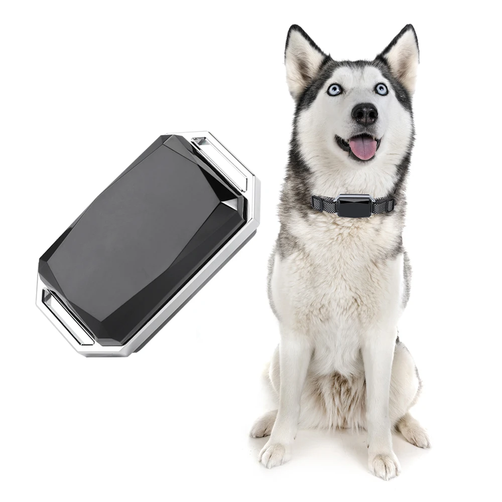 

New Arrival Smart Dog Training and Activity Monitoring Collar Device 4G GPS Tracker for Pet and Animal Real Time APP Tracking