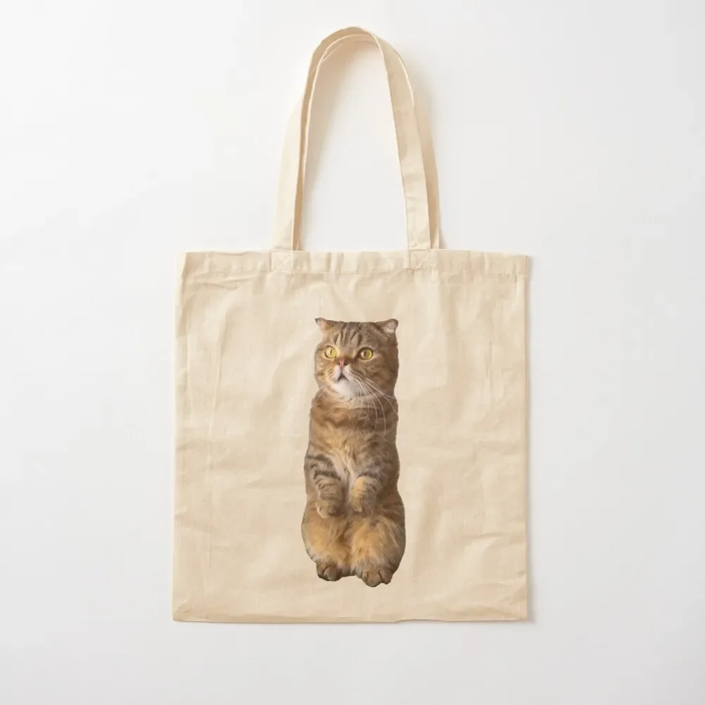 

Cute LuLu standing ( Kittisaurus ) Tote Bag Women's shopper bag Shopper bag