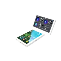5 Inch IPS LCD Monitor 800*480 Display AIDA64 USB  Sub-Screen Support dynamic video 1080P