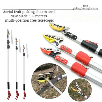 정원 도구 가지 가위, 높은 가지 가위, 과일 따기 도구, 리치 감 석류