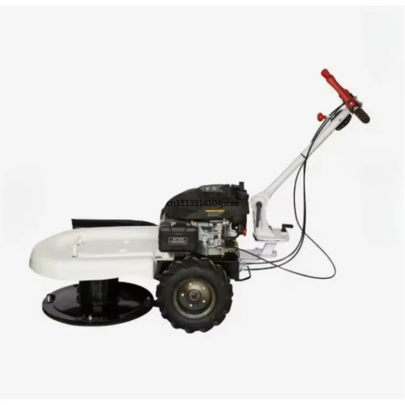 6.5HP Engine Small Lawn Mower,62cm Cutting Width,Grass Cutter for Yard,Garden and Field