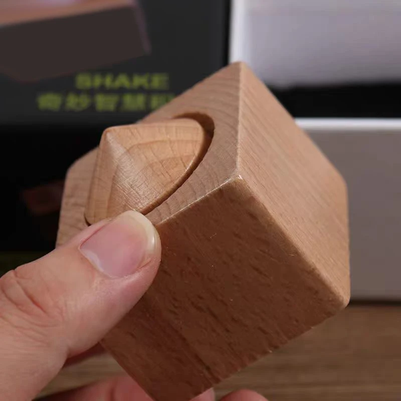 Impossibili blocchi di legno unici Prendi i blocchi fuori dal cilindro Puzzle mentale Rompicapo Trucchi magici Oggetti di scena Adulti Adolescenti