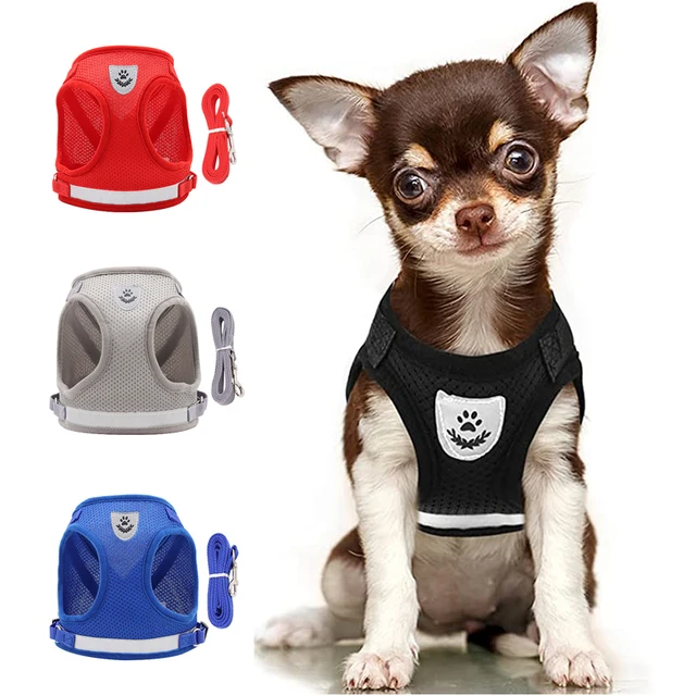Zestaw uprzęży i smyczy dla psa Puppy Cat Chest Strap Reflective dla małych średnich psów Cat Harnesses Vest Pug Chihuahua Bulldog