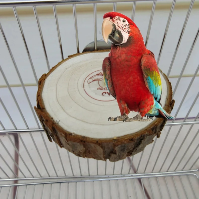 Round Wooden Squirrel Parrot Bird Perch Stand Platform Pet Bird Squirrel Chinchilla Parrot Wooden Pier Diving Platform