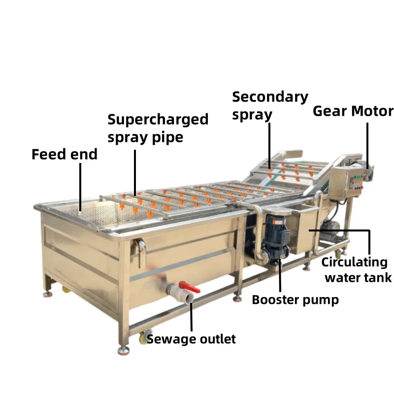High Pressure Spray Apple Fruit Cleaner Lettuce Vegetable Bubble Washer with Ozone Washing Equipment Conveyor Custom