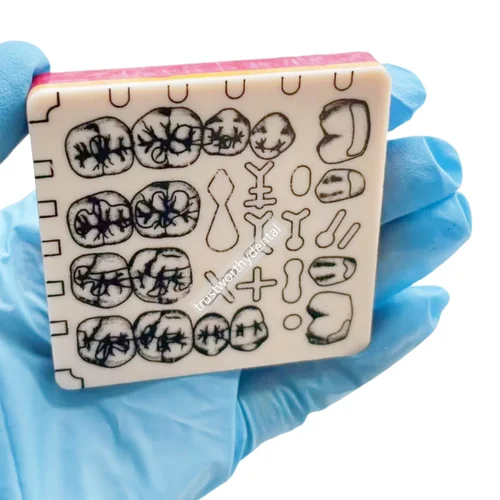 Imagen 2 del producto Ejercicios de preparación de cavidades dentales, bloques de entrenamiento, entrenadores de preparación de Frasaco A-PTM Similares, práctica de capa de pulpa de Dentin esmaltada