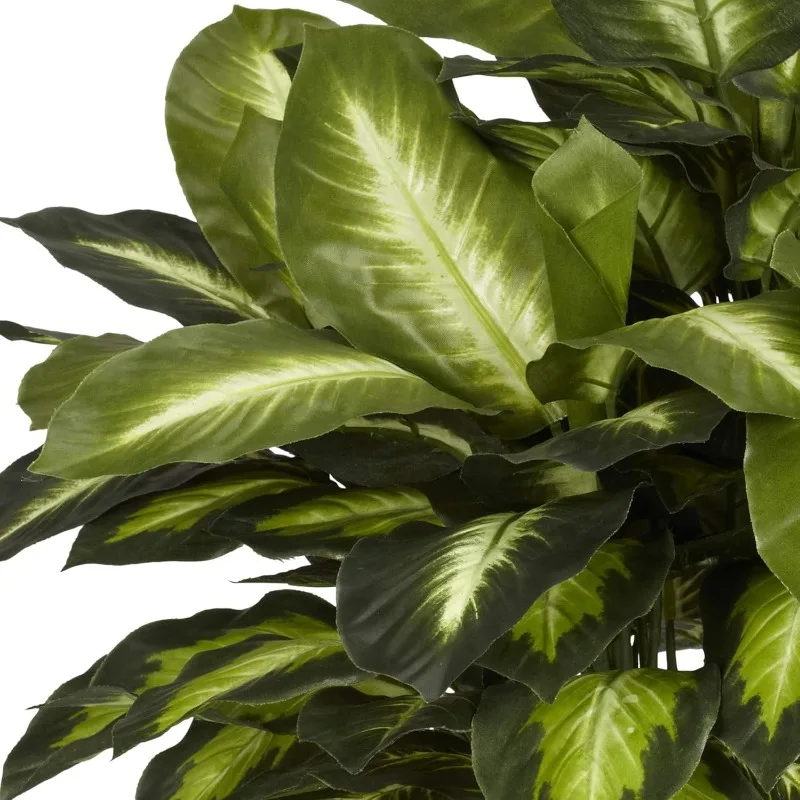 6639 24in. Golden Dieffenbachia Silk Plant, Green