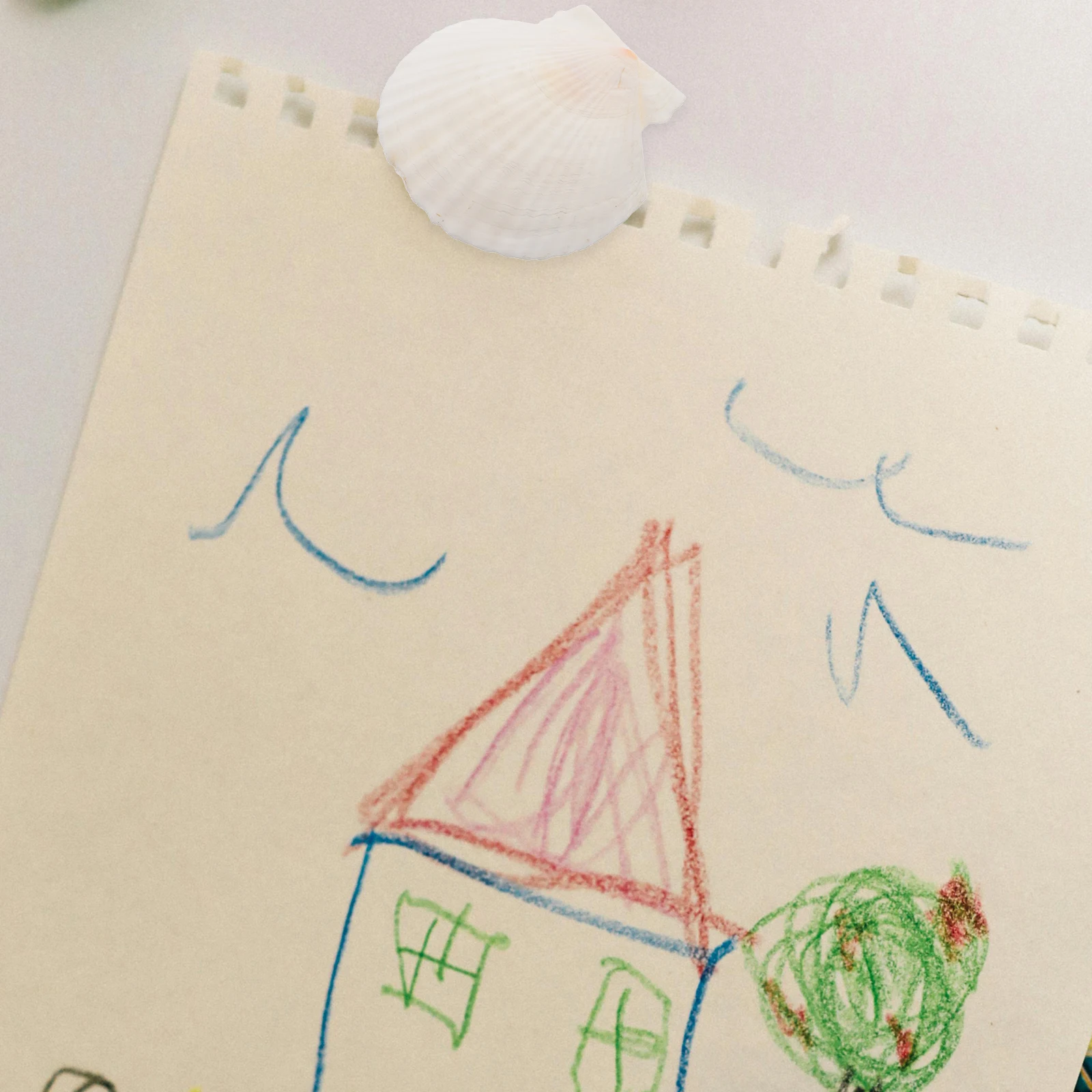 

21 шт., украшения в виде ракушек, гребешки, ремесленные ракушки, пляжные ракушки, аквариумный ландшафтный дизайн, декоративные наборы «сделай сам», белый цвет