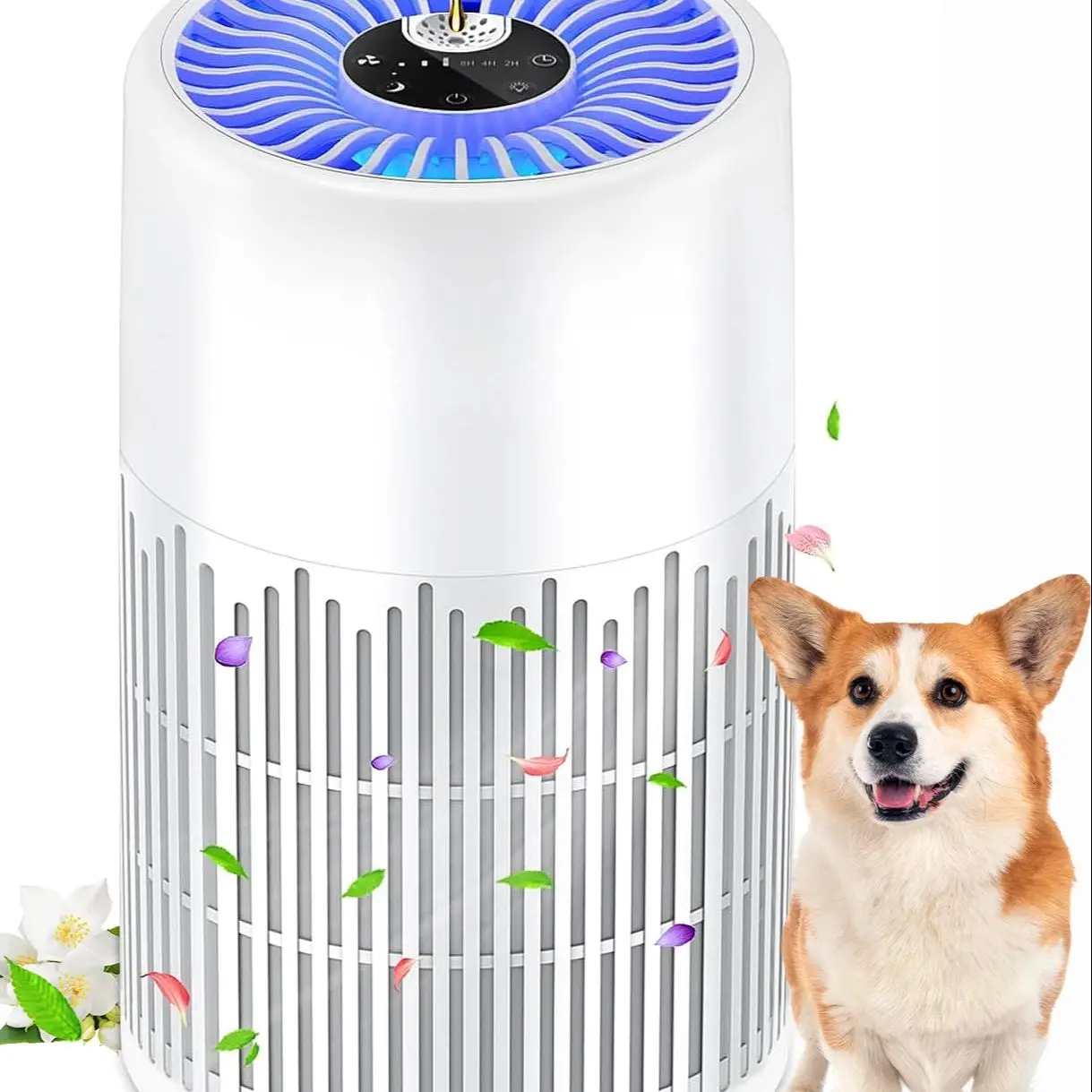 yZ[ző1200tB[g̍LpƒpC@AQ̃ybgpH13 True HEPAC@itOXX|WA^C}[AC@\tj