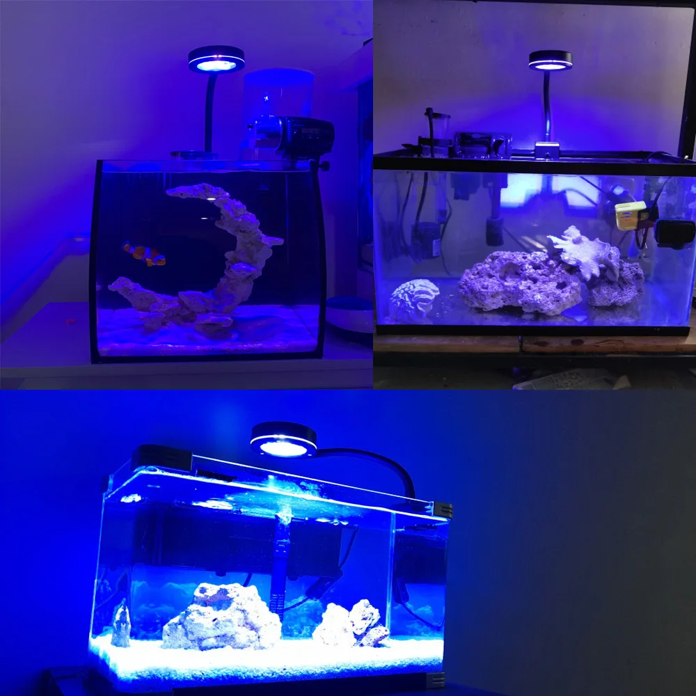 Imagem -06 - Aquário Led Light para Coral Marinho Sps Lps Aqua Sea Reef Tank Azul Branco Iniciante 100240v 3050cm Little Seawater Tank 18w