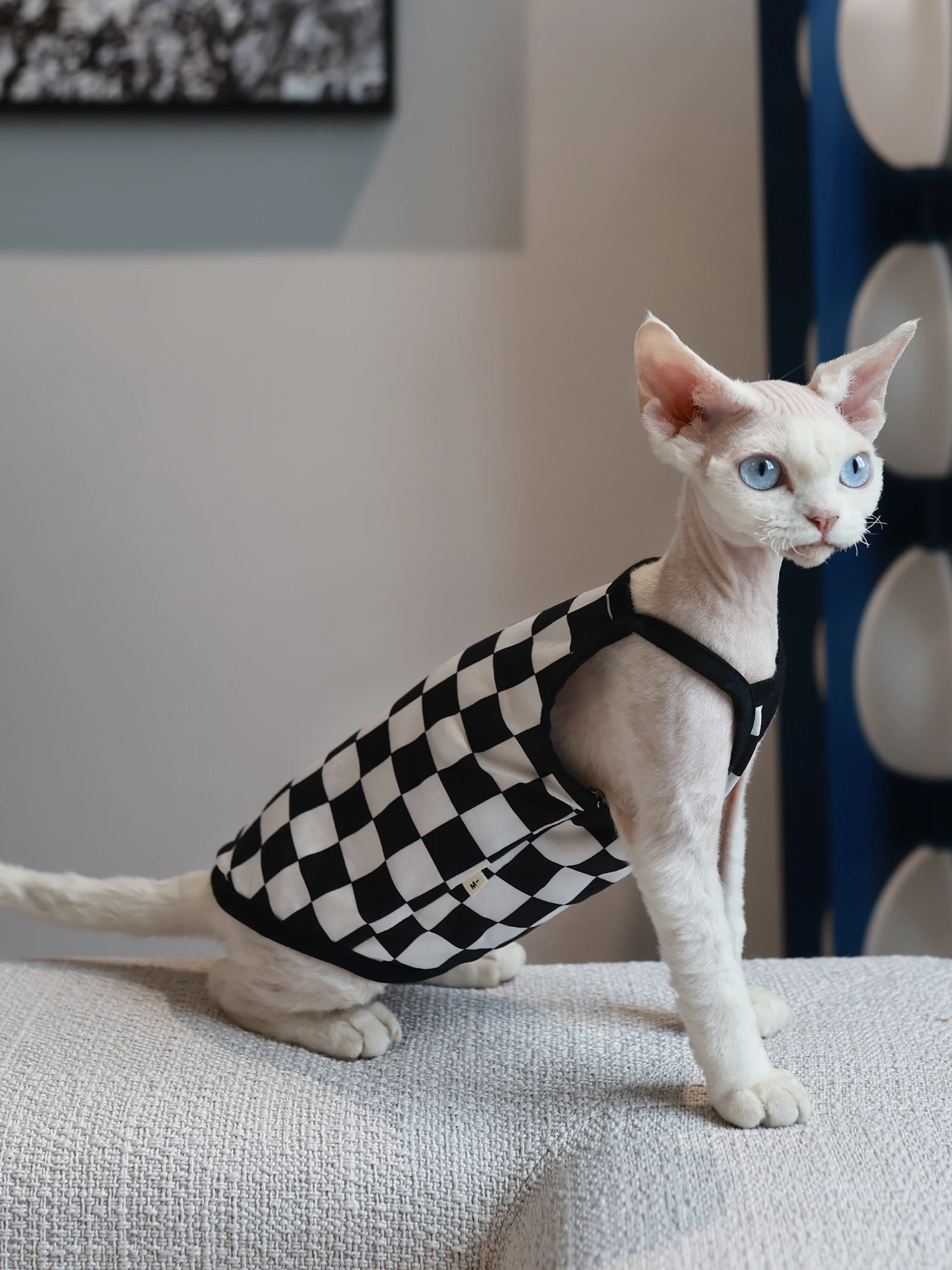 Pet Cat Clothes Sphynx Kitten Plaid Vest Shirt For Sphinx Devon Rex Breathable Cat Camisole Soft Summer Clothing Cat Supplier