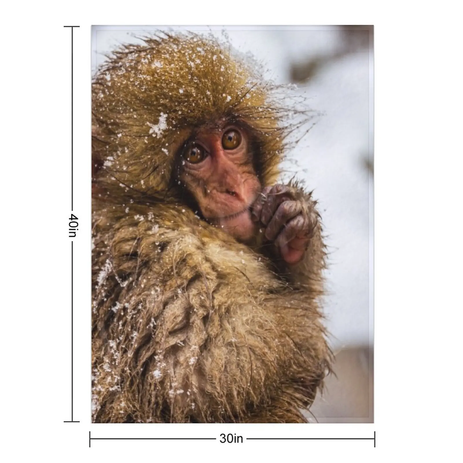 رمي قرد الثلج، بطانيات ثقيلة، أرائك للديكور، بطانيات مرجحة للسفر #2