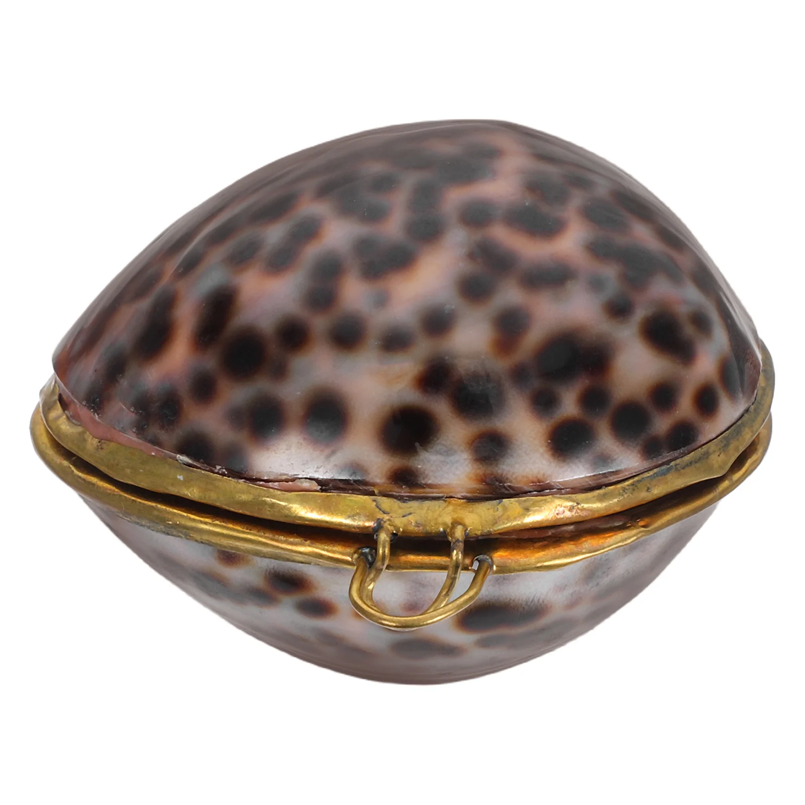 

Shell Jewelry Box Storage Case For Rings Necklaces Earrings Gift Boxes Women Wedding Anniversary Organizer Jewelry Storage