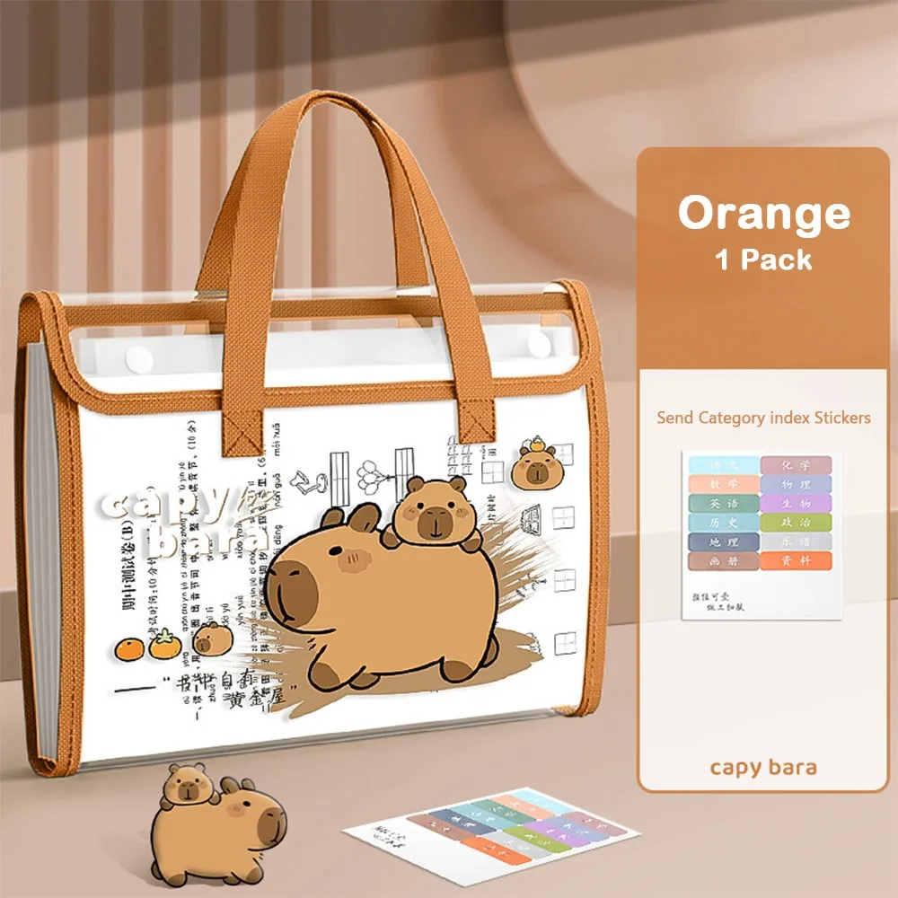 

Портативная папка-органайзер на 13 отделений с капибарой, водонепроницаемая, прозрачная, формат А4, большая вместимость, милая архивная сумка для студентов