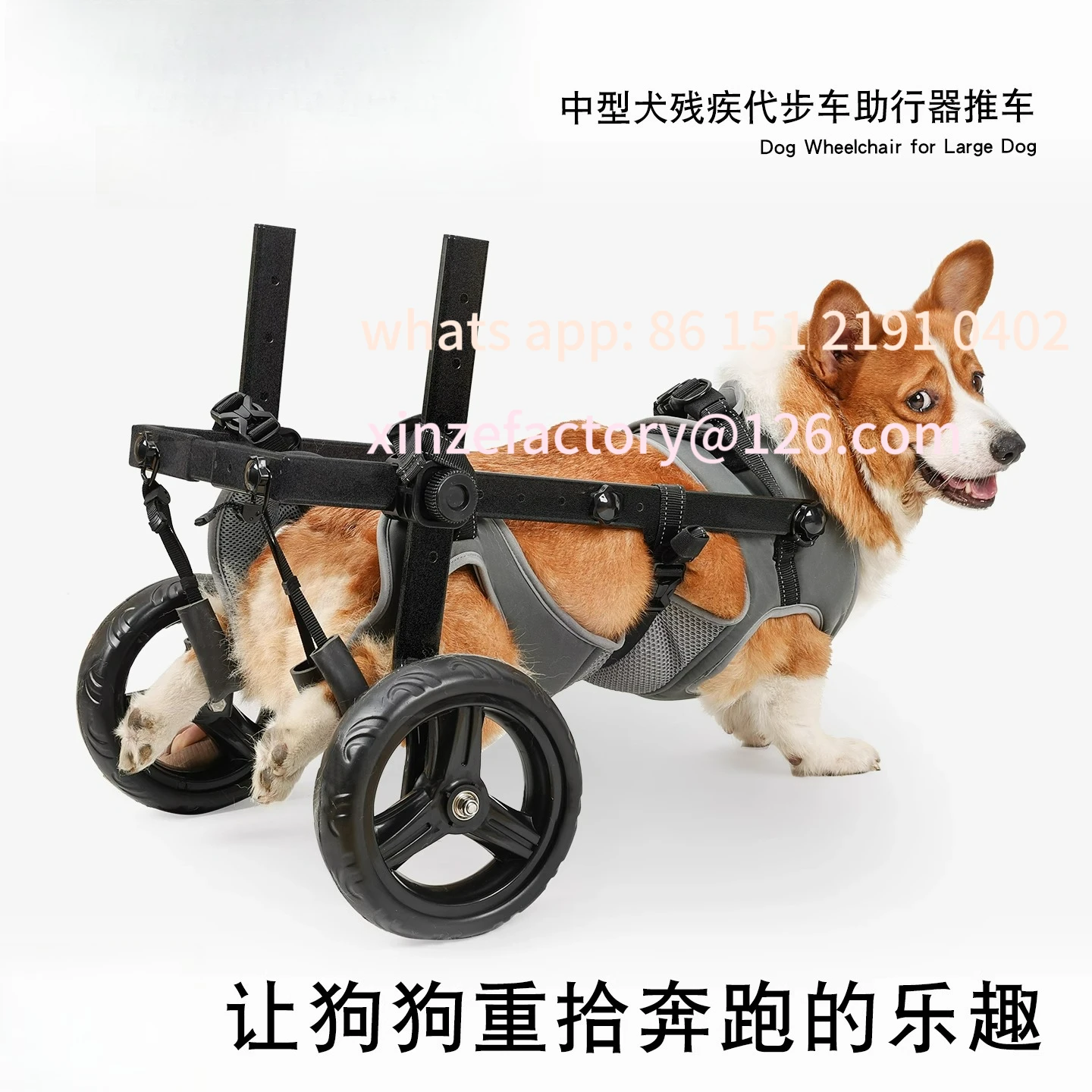 

Customizable Pet Wheelchair Stroller Rehabilitation Walking Assist Medium and Large Dog Scooter