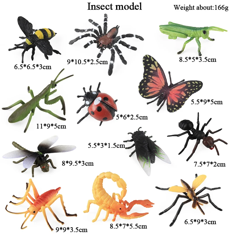 Oenux Insekt Tiere Modell Set Schmetterling Libelle Biene Käfer Spinne Skorpion Mantis Zikade Eidechse Garten Miniatur Kind Spielzeug Geschenk – Detail 3