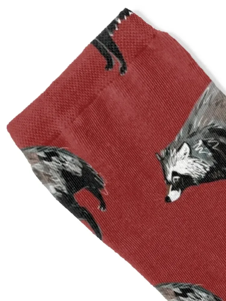 Raccoon Dog Socks snow kawaii Socks Women Men's