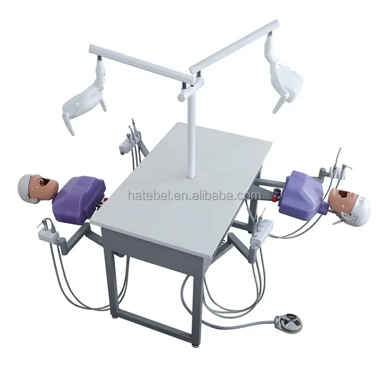 【2026】 Double Person Electric Simulation Units Chair Simulator Unit for Dentist Training Education
